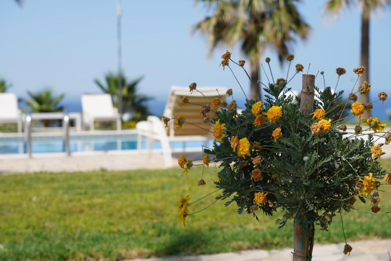 Aneria Suites Episkopi-Chania Buitenkant foto